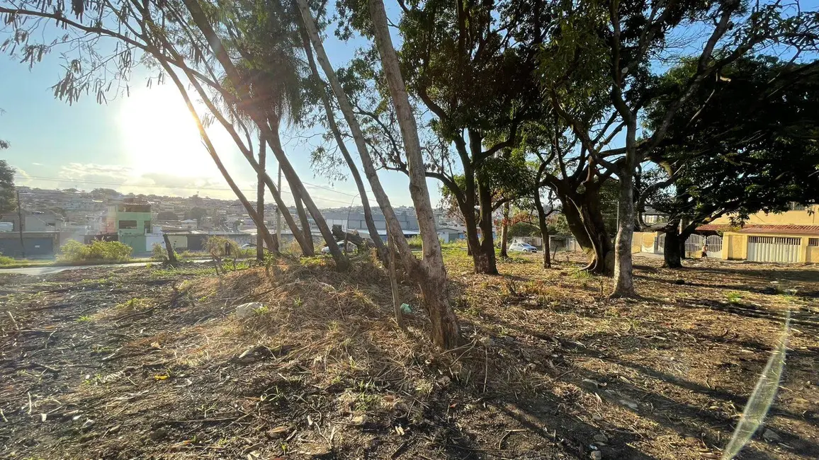 Foto 3 de Terreno / Lote à venda, 245m2 em Jardim Alterosa, Betim - MG