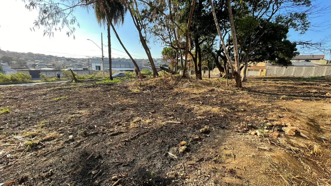 Terreno / Lote à venda, 245m2 em Jardim Alterosa, Betim - MG - imagem 5 Foto 5 de Terreno / Lote à venda, 245m2 em Jardim Alterosa, Betim - MG