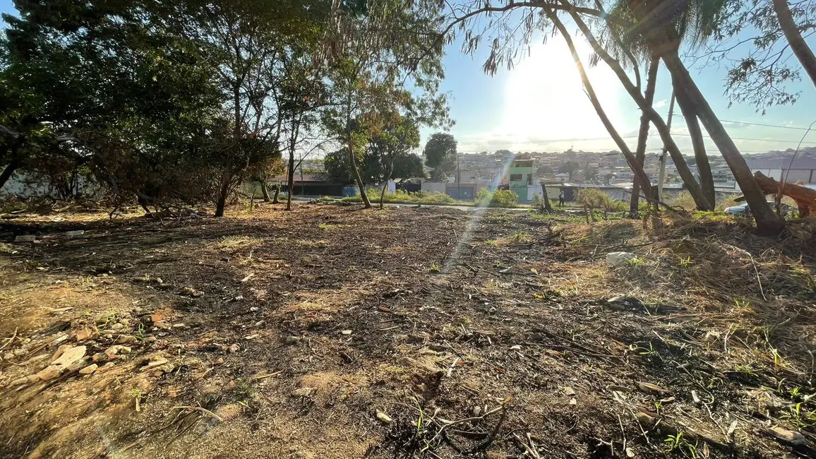 Terreno / Lote à venda, 245m2 em Jardim Alterosa, Betim - MG - imagem 6 Foto 6 de Terreno / Lote à venda, 245m2 em Jardim Alterosa, Betim - MG