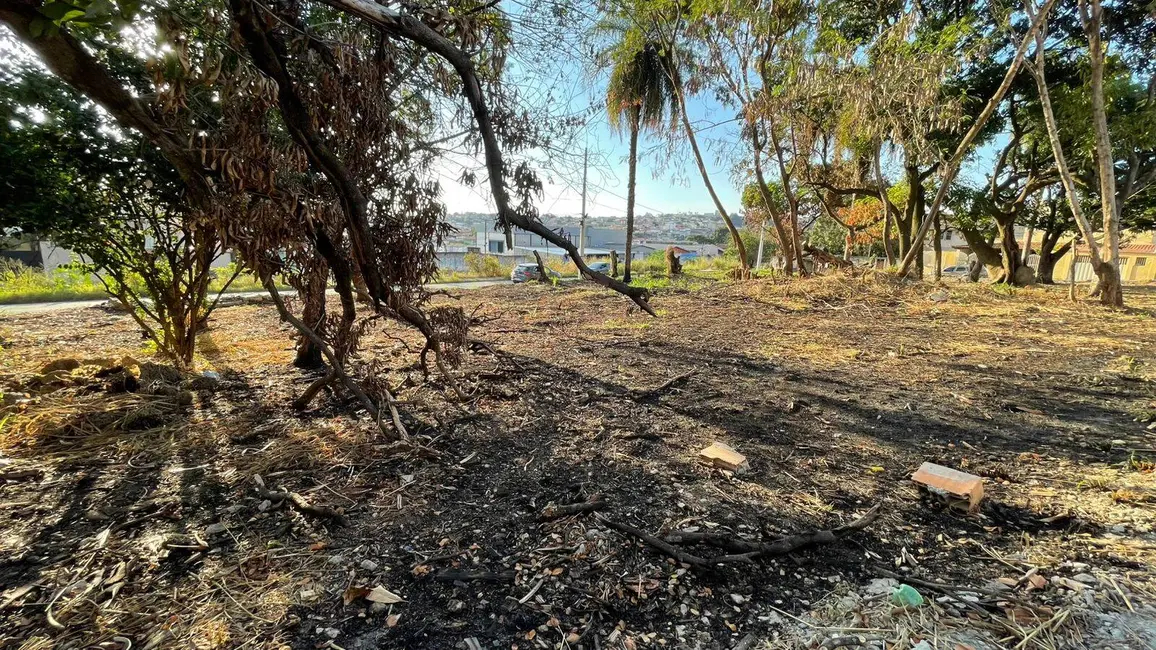 Terreno / Lote à venda, 245m2 em Jardim Alterosa, Betim - MG - imagem 4 Foto 4 de Terreno / Lote à venda, 245m2 em Jardim Alterosa, Betim - MG