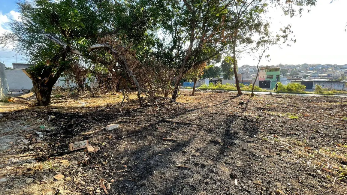 Terreno / Lote à venda, 245m2 em Jardim Alterosa, Betim - MG - imagem 3 Foto 3 de Terreno / Lote à venda, 245m2 em Jardim Alterosa, Betim - MG