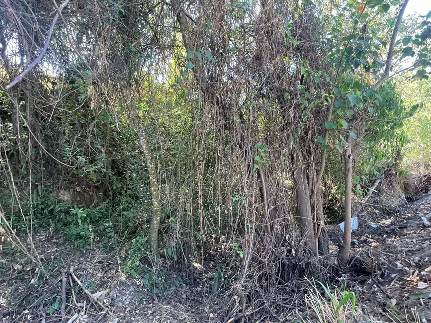 Terreno / Lote à venda, 1200m2 em Bandeirinhas, Betim - MG - imagem 7 Foto 7 de Terreno / Lote à venda, 1200m2 em Bandeirinhas, Betim - MG