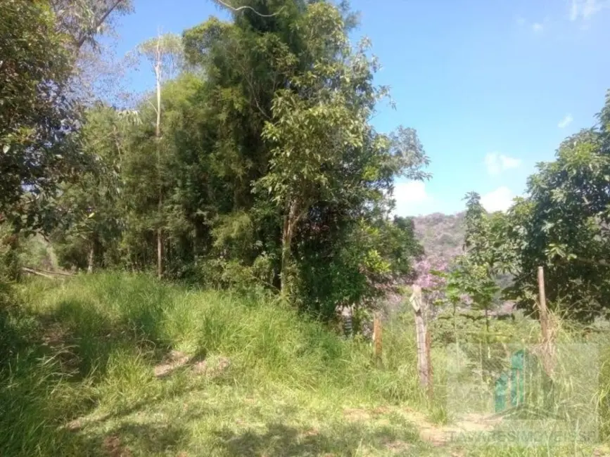 Terreno / Lote à venda, 1300m2 em Jardim dos Eucaliptos, Suzano - SP - imagem 8 Foto 8 de Terreno / Lote à venda, 1300m2 em Jardim dos Eucaliptos, Suzano - SP