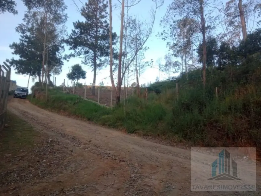 Terreno / Lote à venda, 1300m2 em Jardim dos Eucaliptos, Suzano - SP - imagem 4 Foto 4 de Terreno / Lote à venda, 1300m2 em Jardim dos Eucaliptos, Suzano - SP