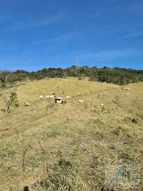 Fazenda / Haras com 2 quartos à venda, 14000m2 em Centro, Igarata - SP - imagem 3 Foto 3 de Fazenda / Haras com 2 quartos à venda, 14000m2 em Centro, Igarata - SP