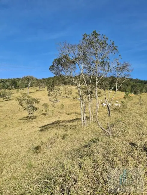 Fazenda / Haras com 2 quartos à venda, 14000m2 em Centro, Igarata - SP - imagem 5 Foto 5 de Fazenda / Haras com 2 quartos à venda, 14000m2 em Centro, Igarata - SP