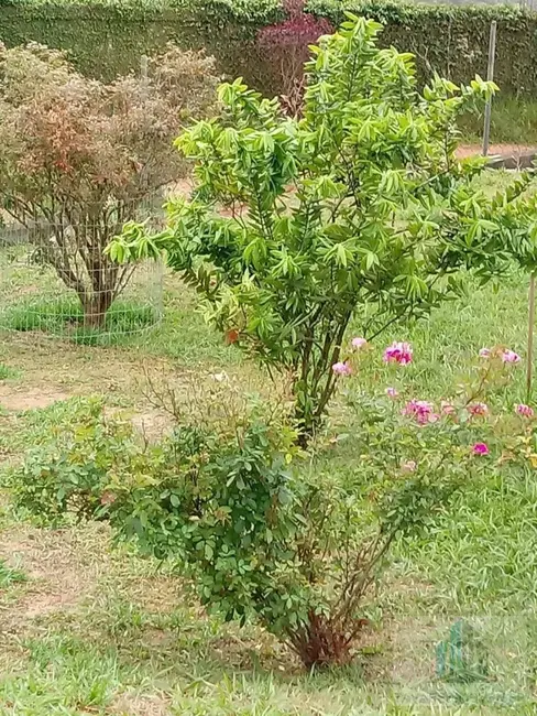 Foto 5 de Chácara com 3 quartos à venda, 1630m2 em Chácaras Bonanza, Suzano - SP