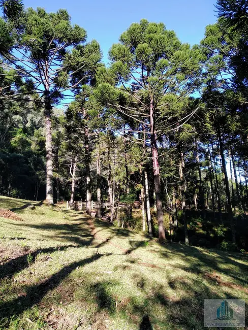 Foto 6 de Fazenda / Haras com 4 quartos à venda, 245m2 em Morro Reuter - RS