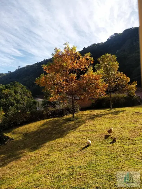 Foto 4 de Fazenda / Haras com 4 quartos à venda, 245m2 em Morro Reuter - RS