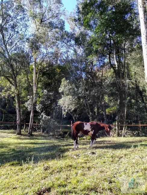 Foto 7 de Fazenda / Haras com 4 quartos à venda, 245m2 em Morro Reuter - RS