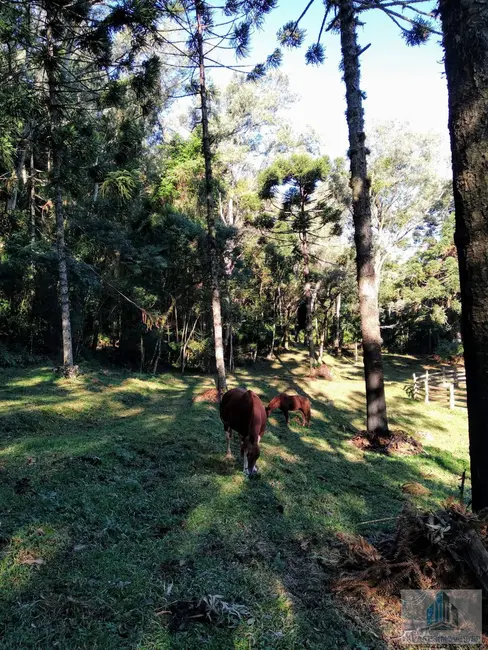 Foto 8 de Fazenda / Haras com 4 quartos à venda, 245m2 em Morro Reuter - RS