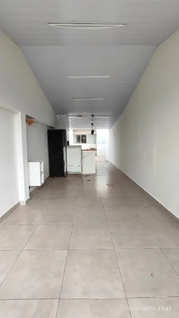Foto 4 de Casa com 3 quartos para alugar, 100m2 em Coophatrabalho, Campo Grande - MS