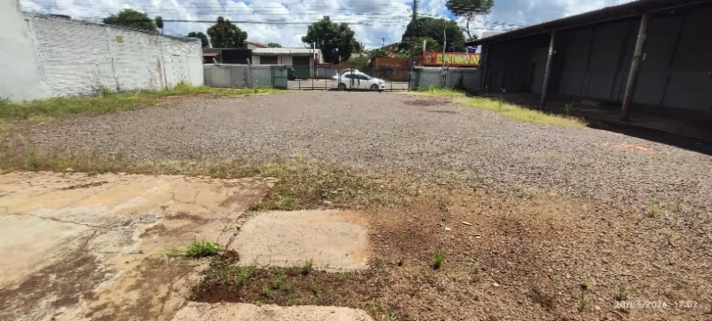 Foto 3 de Sala Comercial para alugar, 228m2 em Vila Planalto, Campo Grande - MS