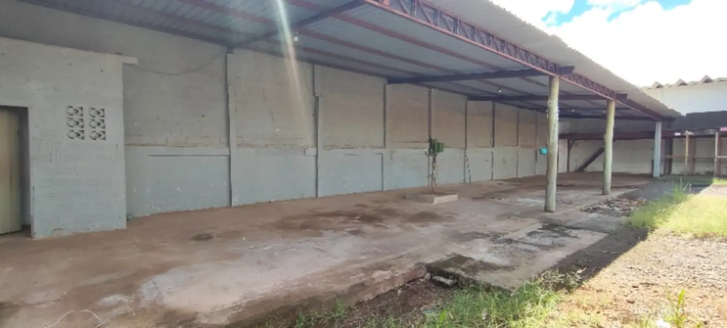 Foto 7 de Sala Comercial para alugar, 228m2 em Vila Planalto, Campo Grande - MS