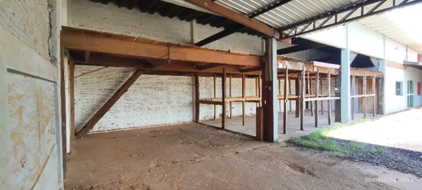 Foto 10 de Sala Comercial para alugar, 228m2 em Vila Planalto, Campo Grande - MS