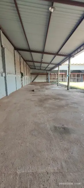 Foto 8 de Sala Comercial para alugar, 228m2 em Vila Planalto, Campo Grande - MS