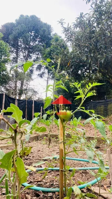 Foto 3 de Chácara com 3 quartos à venda, 1805m2 em Mogi Das Cruzes - SP