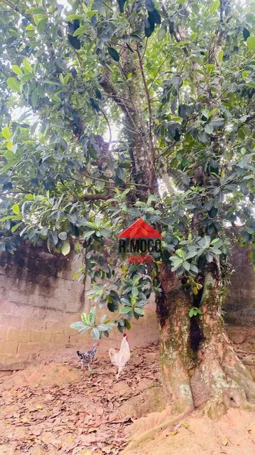 Foto 7 de Chácara com 3 quartos à venda, 1805m2 em Mogi Das Cruzes - SP