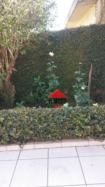 Foto 4 de Terreno / Lote à venda, 250m2 em Jardim Maringá, São Paulo - SP