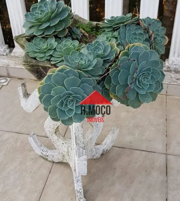 Foto 6 de Sítio / Rancho com 5 quartos à venda, 36000m2 em Atibaia - SP