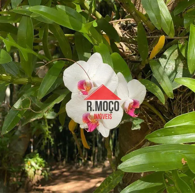 Foto 7 de Sítio / Rancho com 5 quartos à venda, 36000m2 em Atibaia - SP