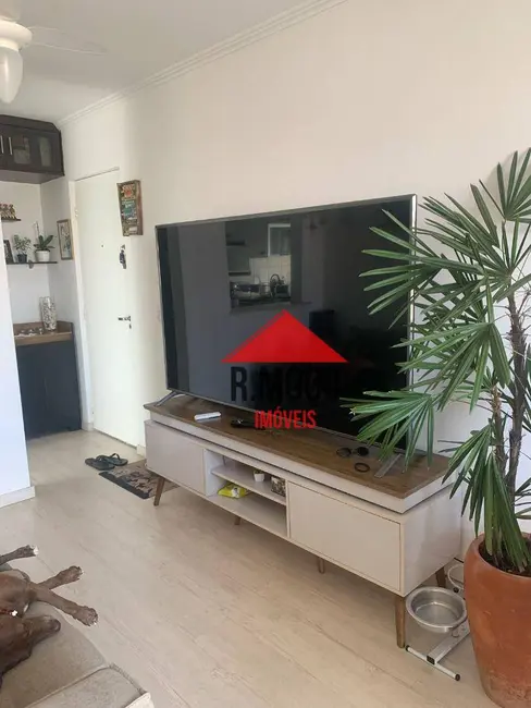 Foto 6 de Apartamento com 2 quartos à venda, 50m2 em Vila Guilhermina, São Paulo - SP