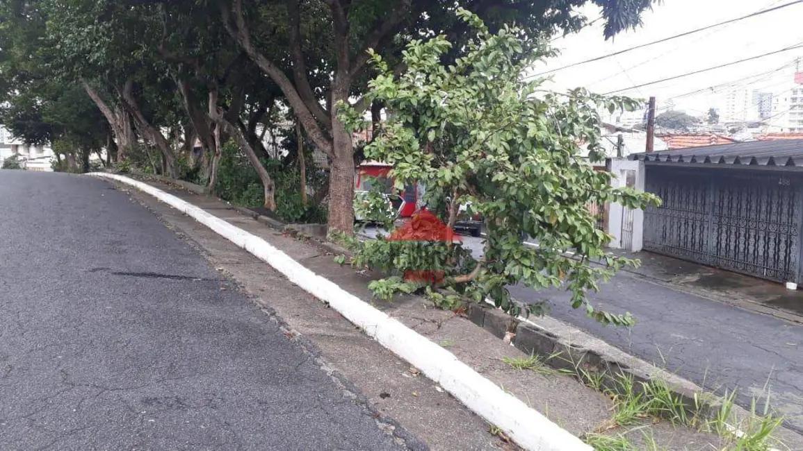 Terreno / Lote à venda, 311m2 em Vila Guilhermina, São Paulo - SP - imagem 3 Foto 3 de Terreno / Lote à venda, 311m2 em Vila Guilhermina, São Paulo - SP