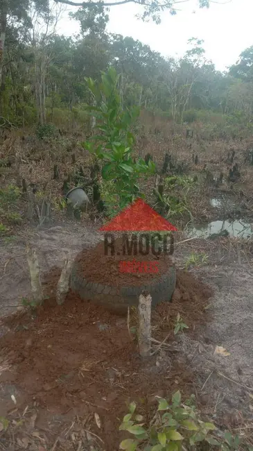 Foto 3 de Terreno / Lote à venda, 2400m2 em Itanhaem - SP