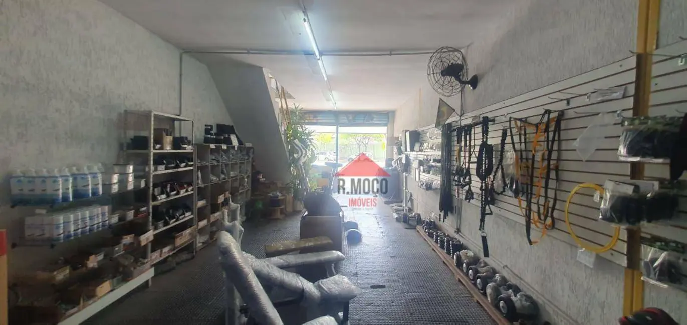 Foto 3 de Sala Comercial para alugar, 230m2 em Vila Guilhermina, São Paulo - SP