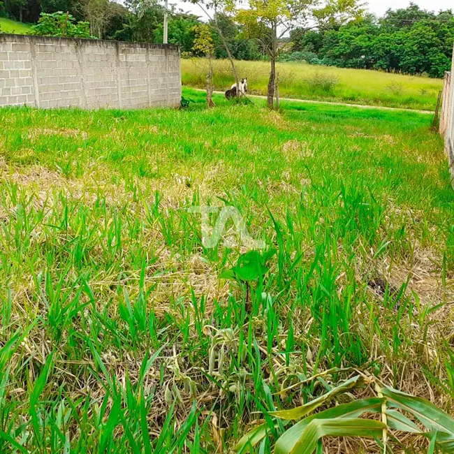 Foto 2 de Terreno / Lote à venda, 250m2 em Parque São Domingos, Pindamonhangaba - SP