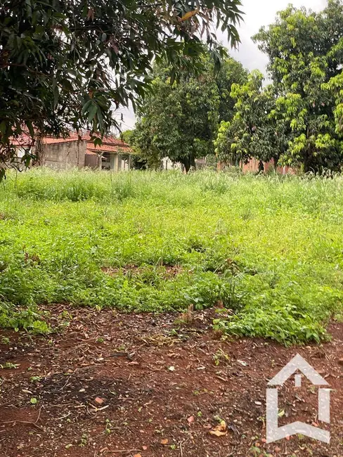 Foto 4 de Chácara com 1 quarto à venda, 3040m2 em Arceburgo - MG