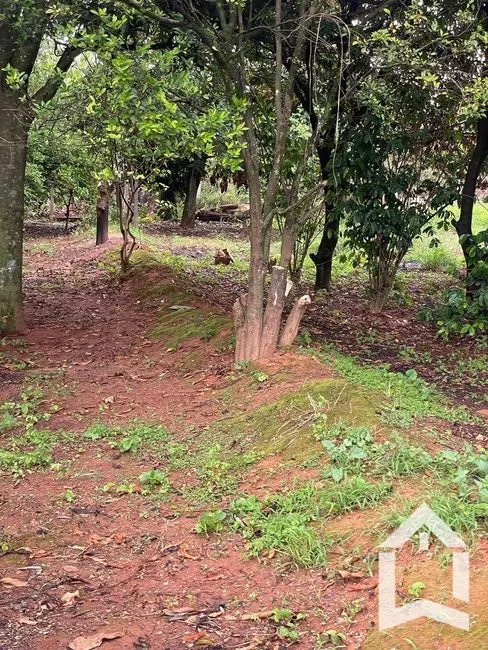 Foto 5 de Chácara com 1 quarto à venda, 3040m2 em Arceburgo - MG