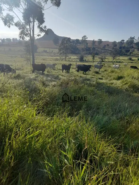 Foto 2 de Sítio / Rancho à venda, 1403600m2 em Vila Lambari, Mococa - SP