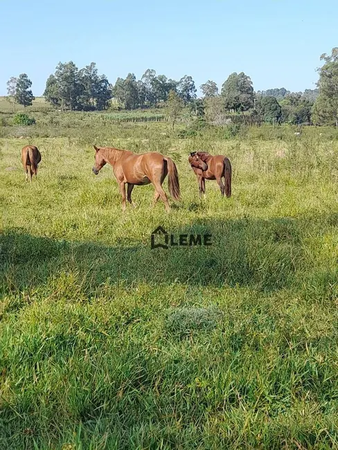 Foto 4 de Sítio / Rancho à venda, 1403600m2 em Vila Lambari, Mococa - SP