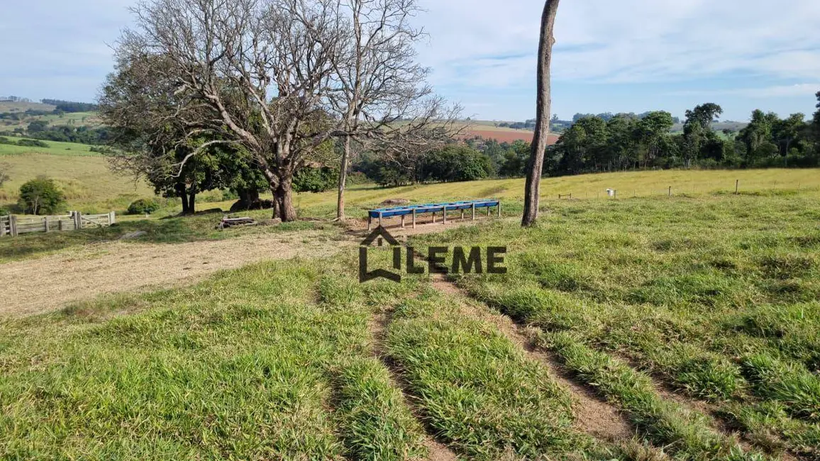 Foto 3 de Sítio / Rancho à venda, 435600m2 em Vila Lambari, Mococa - SP