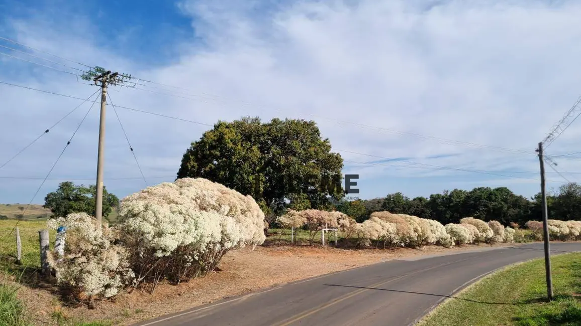 Foto 8 de Sítio / Rancho à venda, 435600m2 em Vila Lambari, Mococa - SP