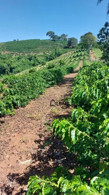 Foto 2 de Sítio / Rancho com 2 quartos à venda, 72600m2 em Juruaia - MG