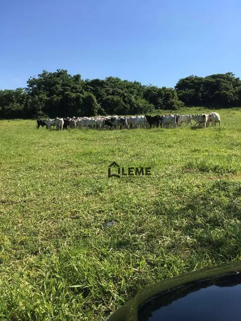 Sítio / Rancho à venda, 169400m2 em Vila Lambari, Mococa - SP - imagem 3 Foto 3 de Sítio / Rancho à venda, 169400m2 em Vila Lambari, Mococa - SP
