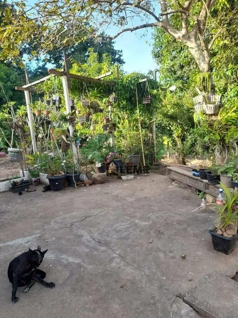 Foto 5 de Sítio / Rancho à venda, 121000m2 em Vila Lambari, Mococa - SP