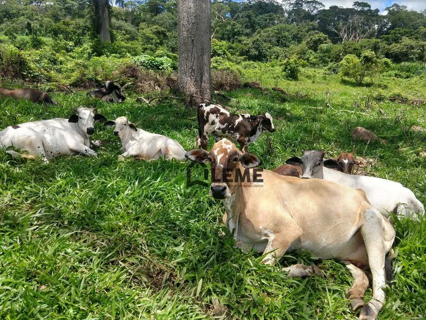 Sítio / Rancho com 3 quartos à venda, 108900m2 em Vila Lambari, Mococa - SP - imagem 5 Foto 5 de Sítio / Rancho com 3 quartos à venda, 108900m2 em Vila Lambari, Mococa - SP