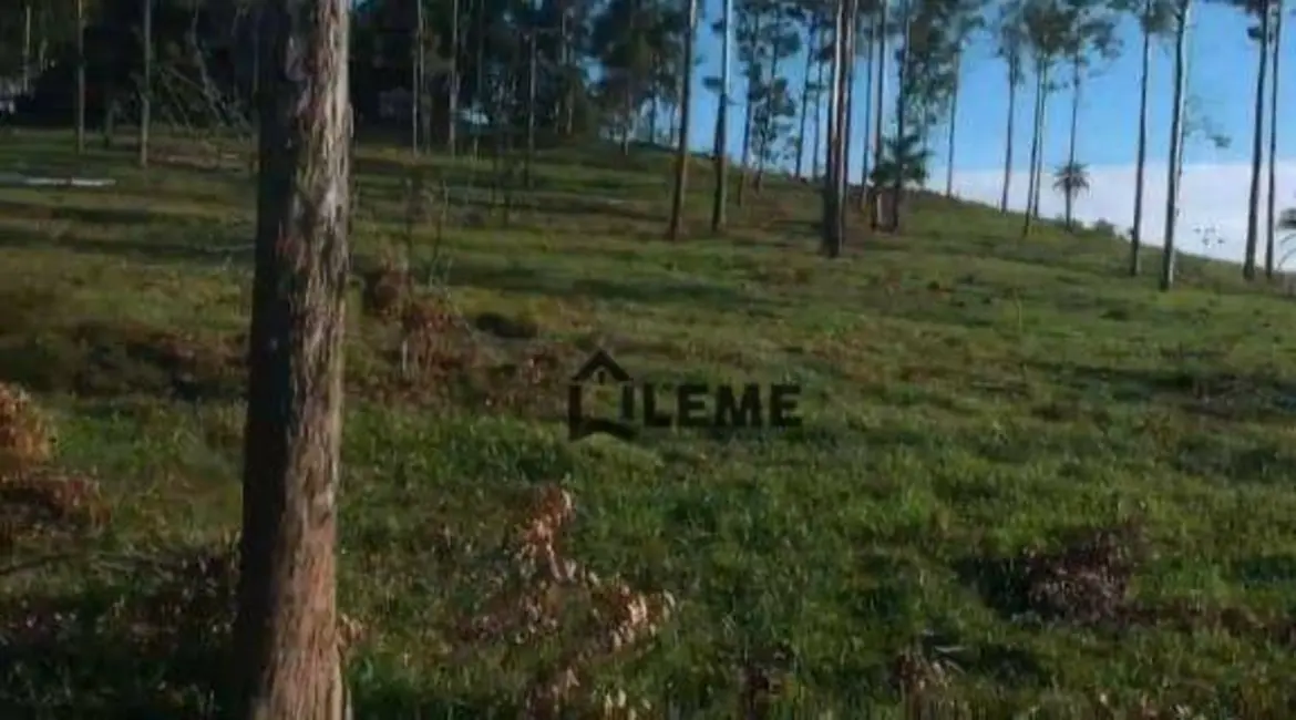 Foto 7 de Sítio / Rancho à venda, 1258400m2 em Vila Lambari, Mococa - SP