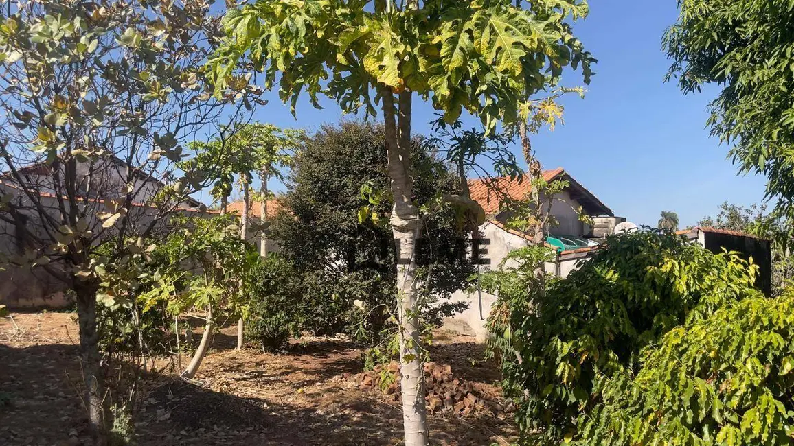 Foto 1 de Chácara com 1 quarto à venda, 1170m2 em Mocoquinha, Mococa - SP