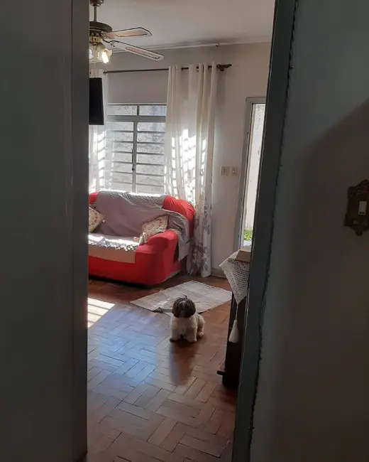 Foto 8 de Terreno / Lote à venda, 260m2 em Presidente Altino, Osasco - SP