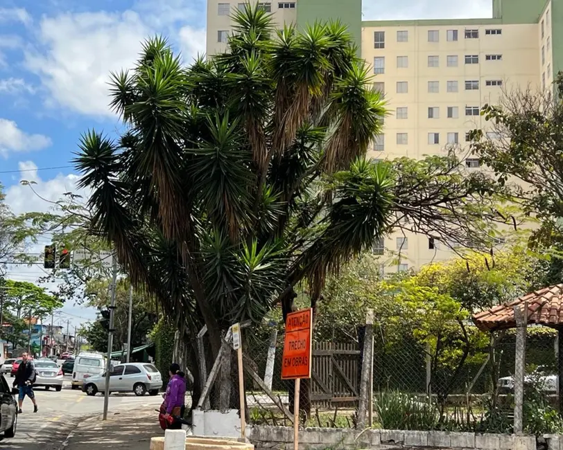 Apartamento com 3 quartos à venda, 65m2 em Piratininga, Osasco - SP - imagem 3 Foto 3 de Apartamento com 3 quartos à venda, 65m2 em Piratininga, Osasco - SP