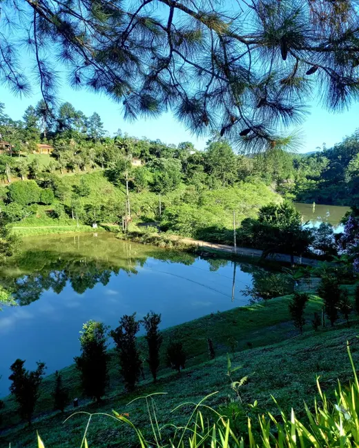 Foto 8 de Sítio / Rancho com 3 quartos à venda, 240m2 em Centro, Juquitiba - SP