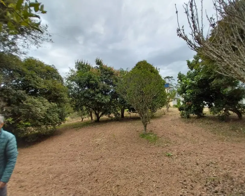 Foto 8 de Sítio / Rancho com 3 quartos à venda, 300m2 em Cotia - SP