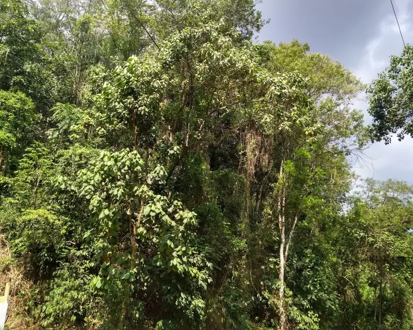 Foto 6 de Terreno / Lote à venda, 600m2 em Parque Nova Jandira, Jandira - SP