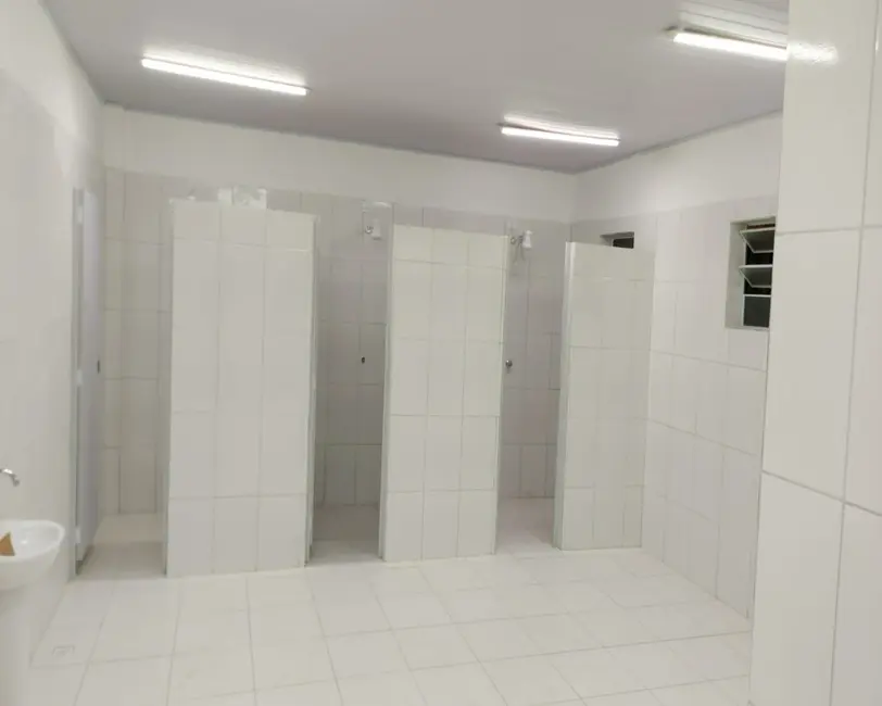 Armazém / Galpão para alugar, 2949m2 em Vila Leopoldina, São Paulo - SP - imagem 5 Foto 5 de Armazém / Galpão para alugar, 2949m2 em Vila Leopoldina, São Paulo - SP