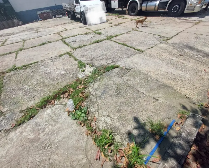 Terreno / Lote para alugar, 960m2 em Vila Zulmira, São Paulo - SP - imagem 4 Foto 4 de Terreno / Lote para alugar, 960m2 em Vila Zulmira, São Paulo - SP