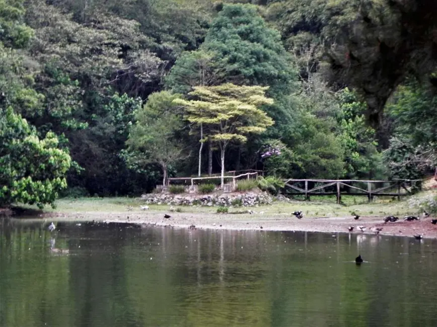 Foto 7 de Casa de Condomínio com 4 quartos à venda, 641m2 em Jardim Mediterrâneo, Cotia - SP